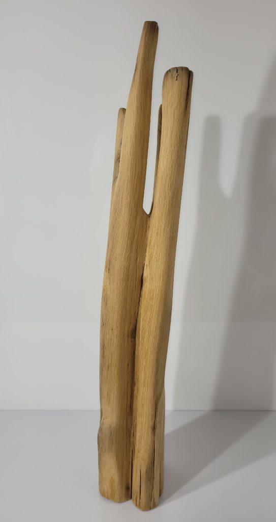 Sculpture Transformation