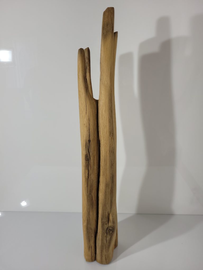 Sculpture Transformation