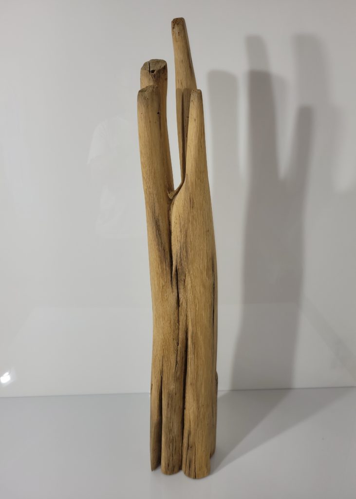 Sculpture Transformation