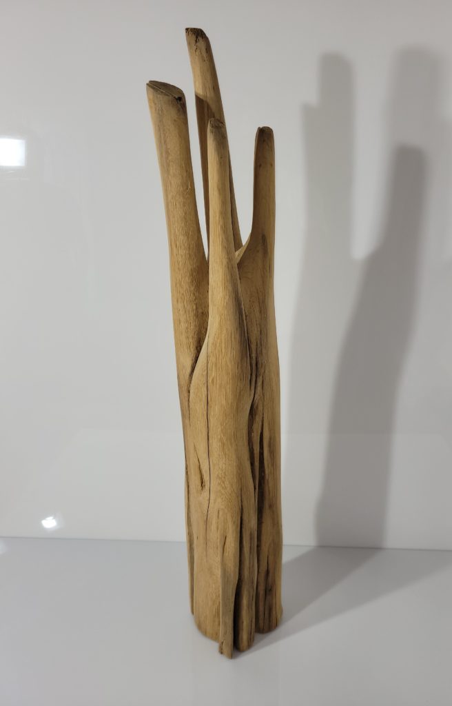 Sculpture Transformation