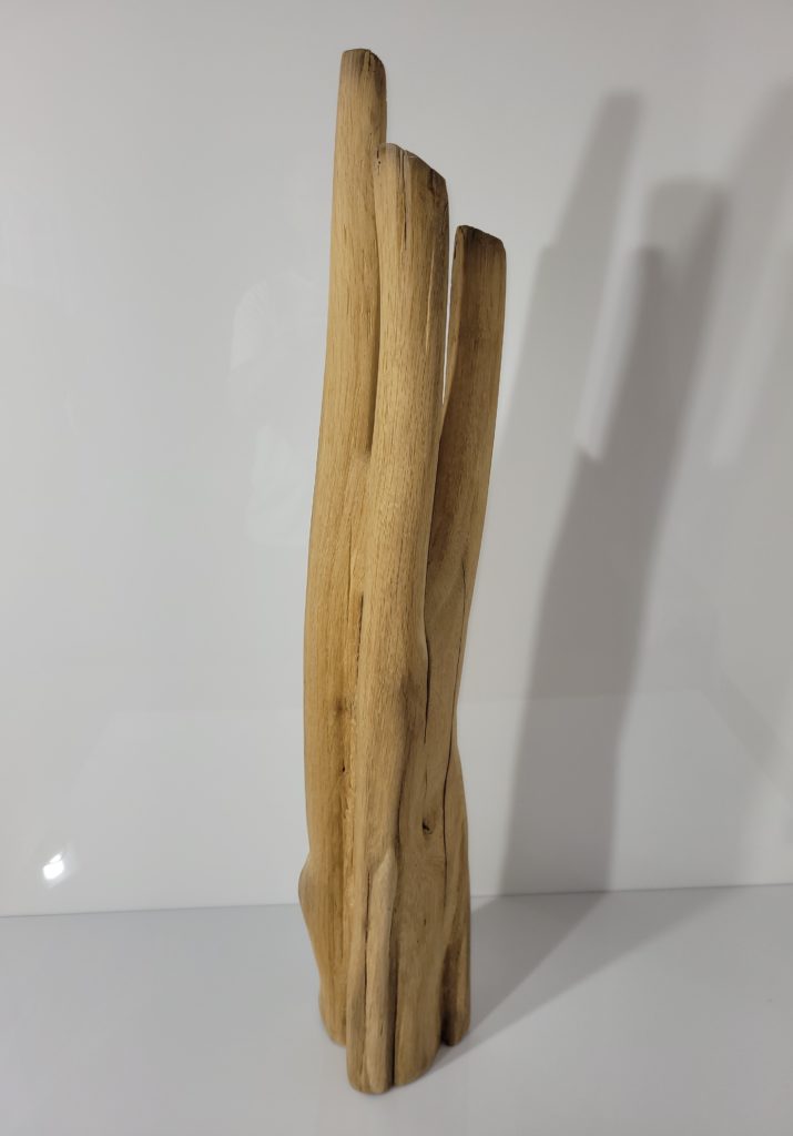 Sculpture Transformation