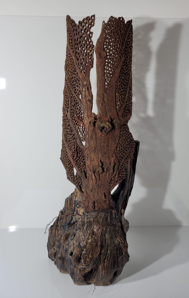 Sculpture Dentelle d'écorce