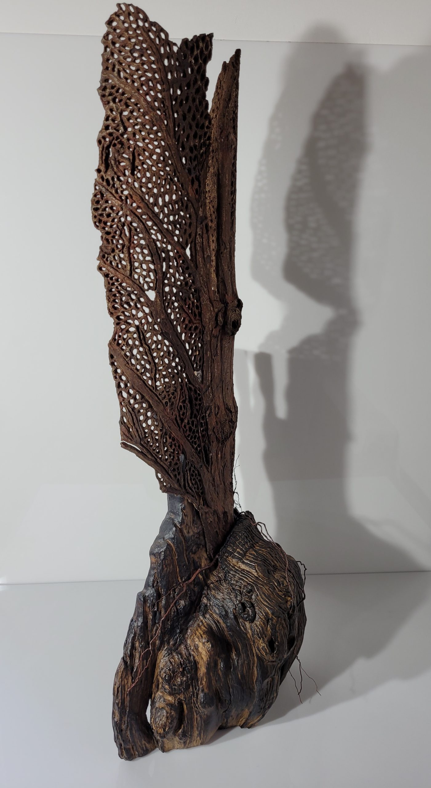 Sculpture Dentelle d'écorce