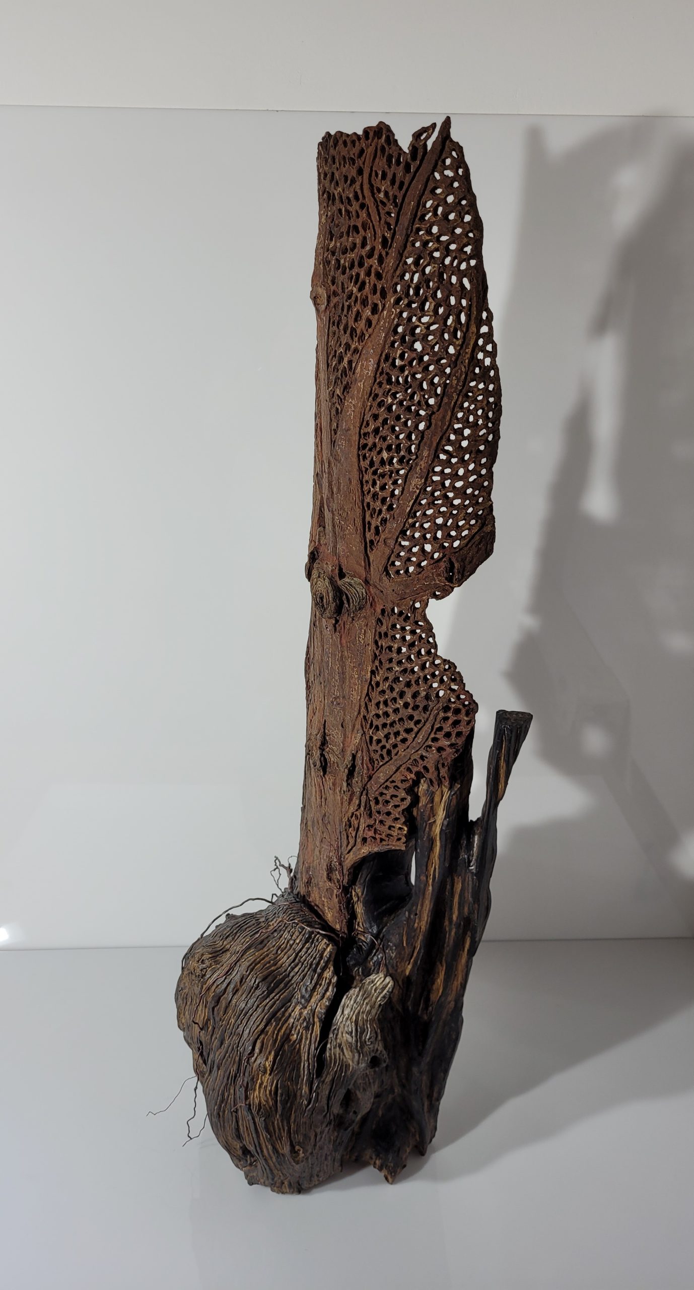 Sculpture Dentelle d'écorce