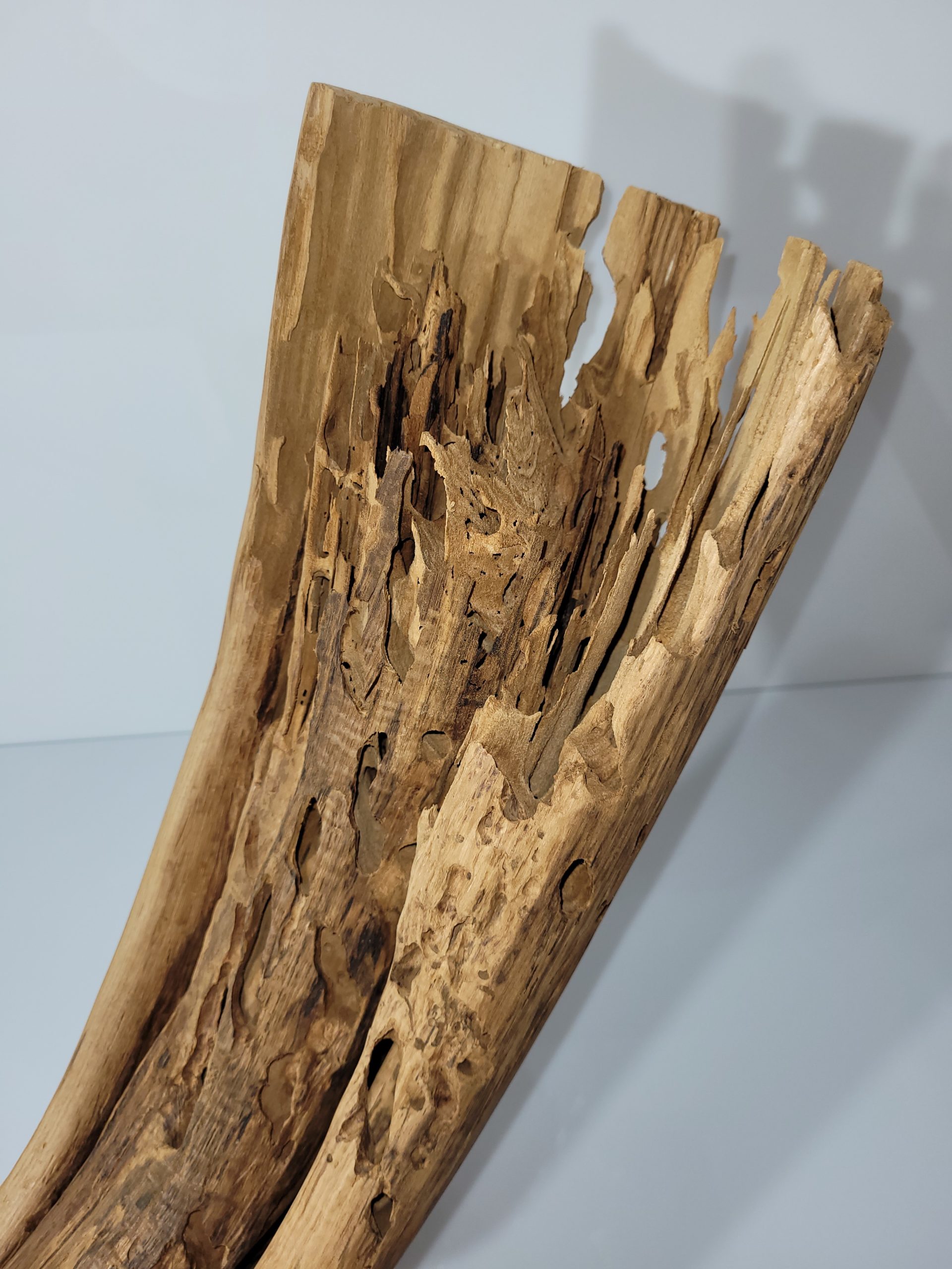 Sculpture Décomposition