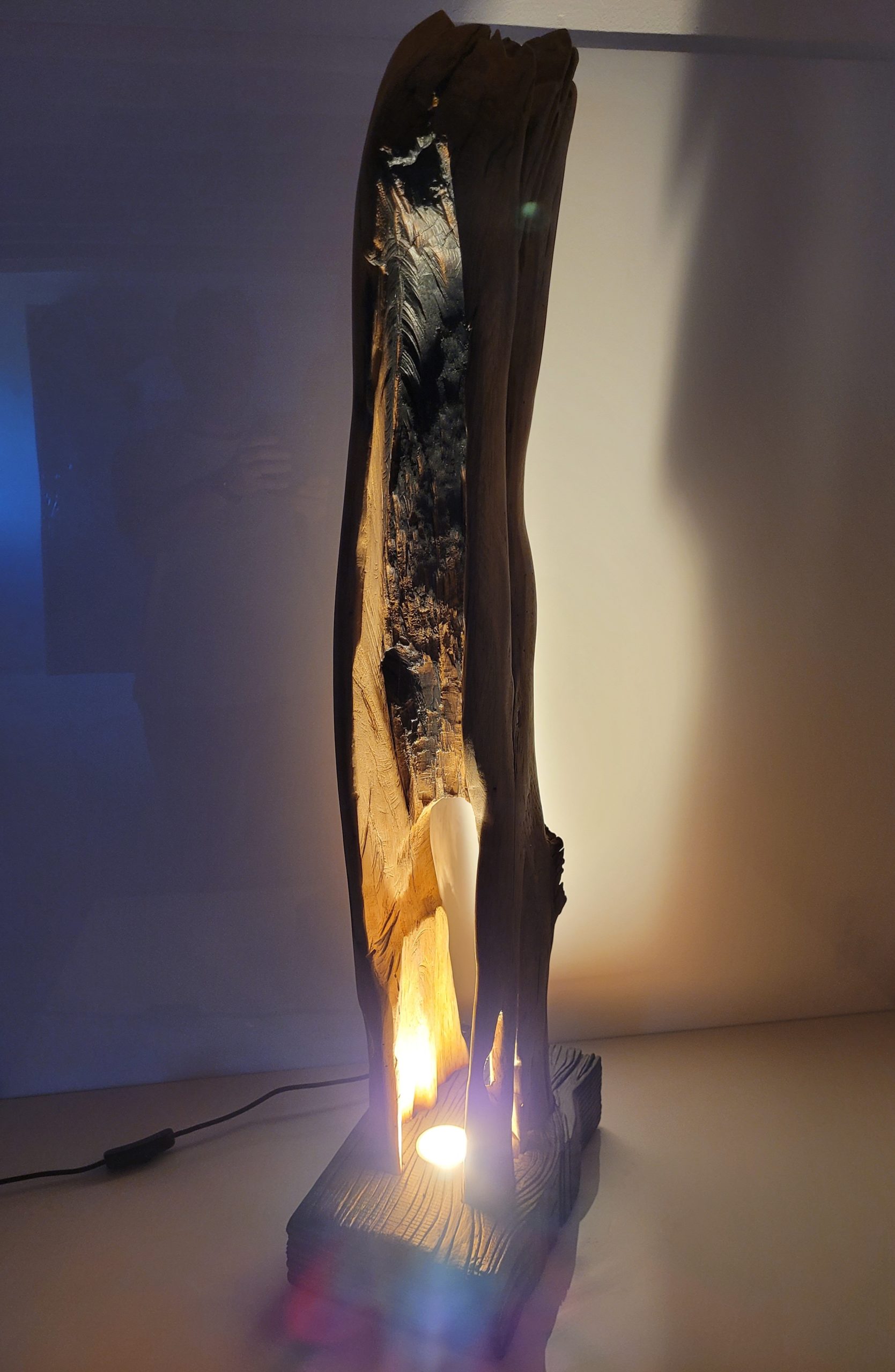 Sculpture Tronc brulé