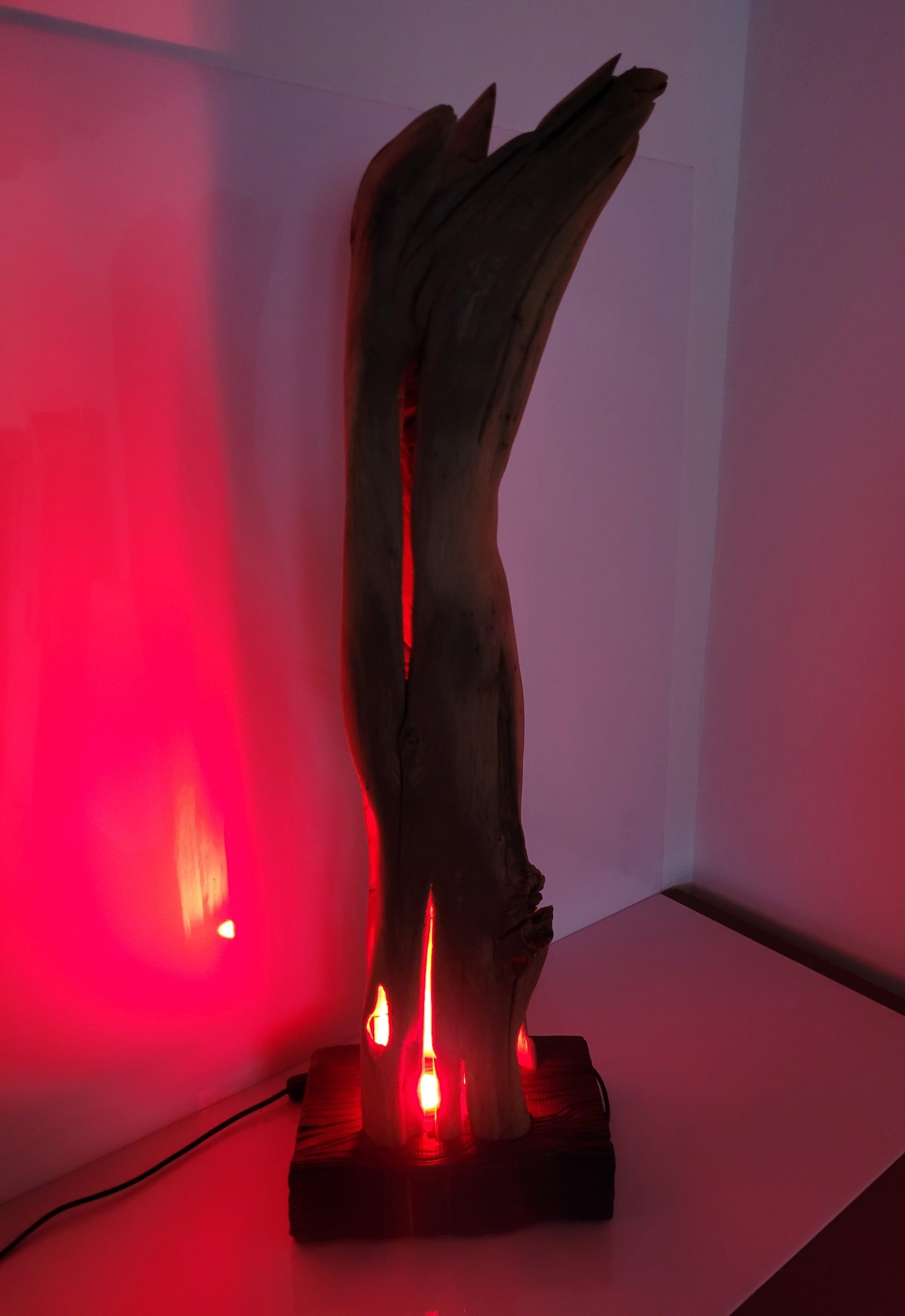 Sculpture Tronc brulé