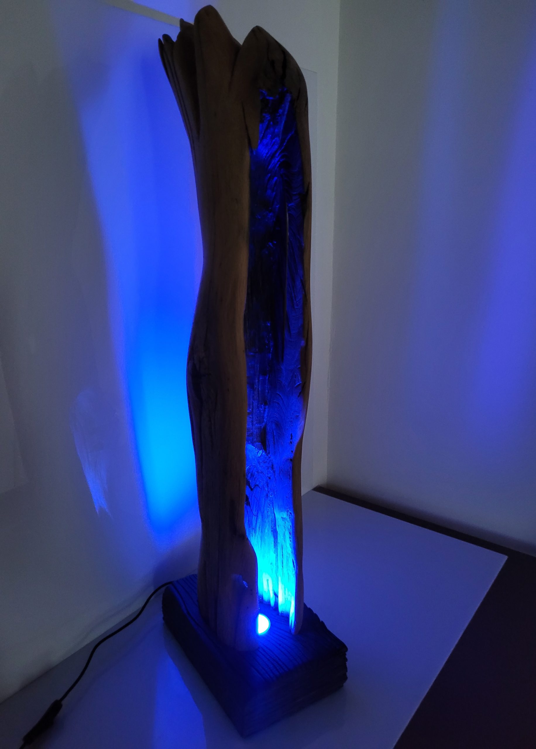 Sculpture Tronc brulé