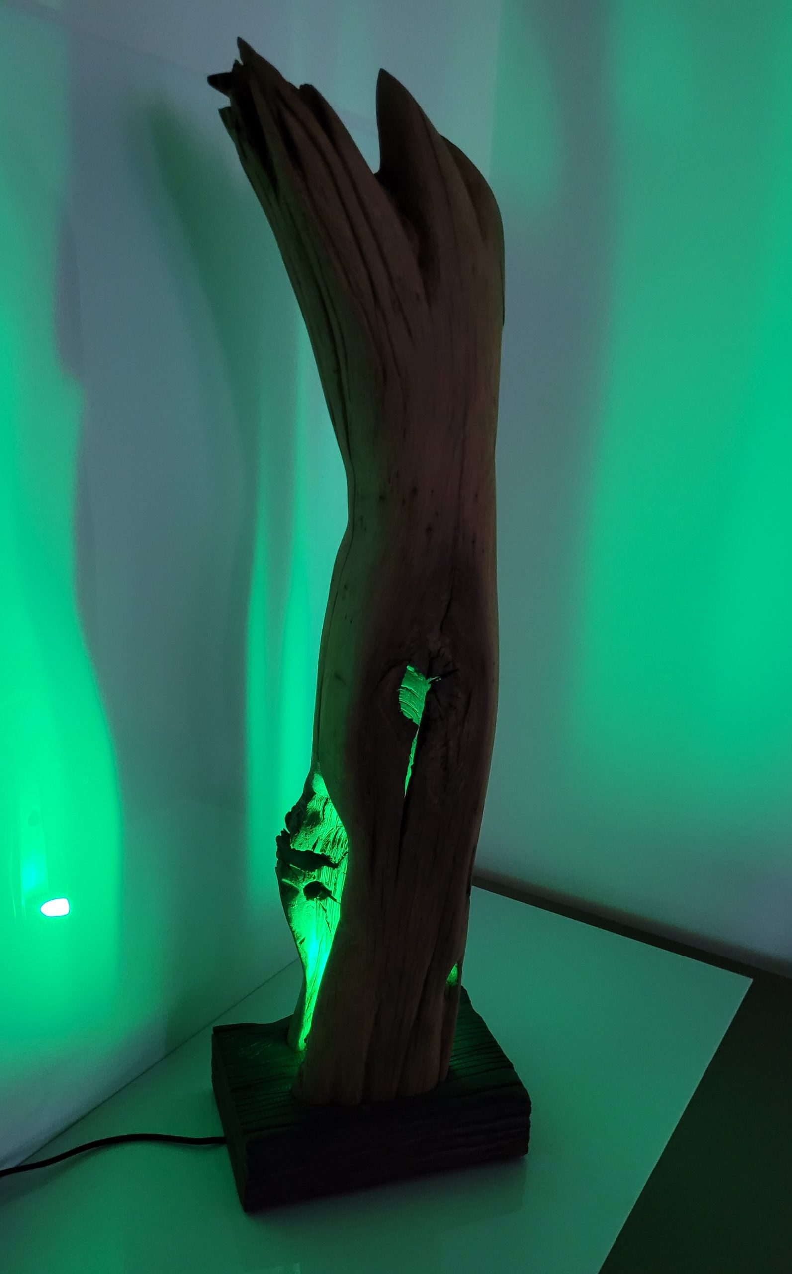 Sculpture Tronc brulé