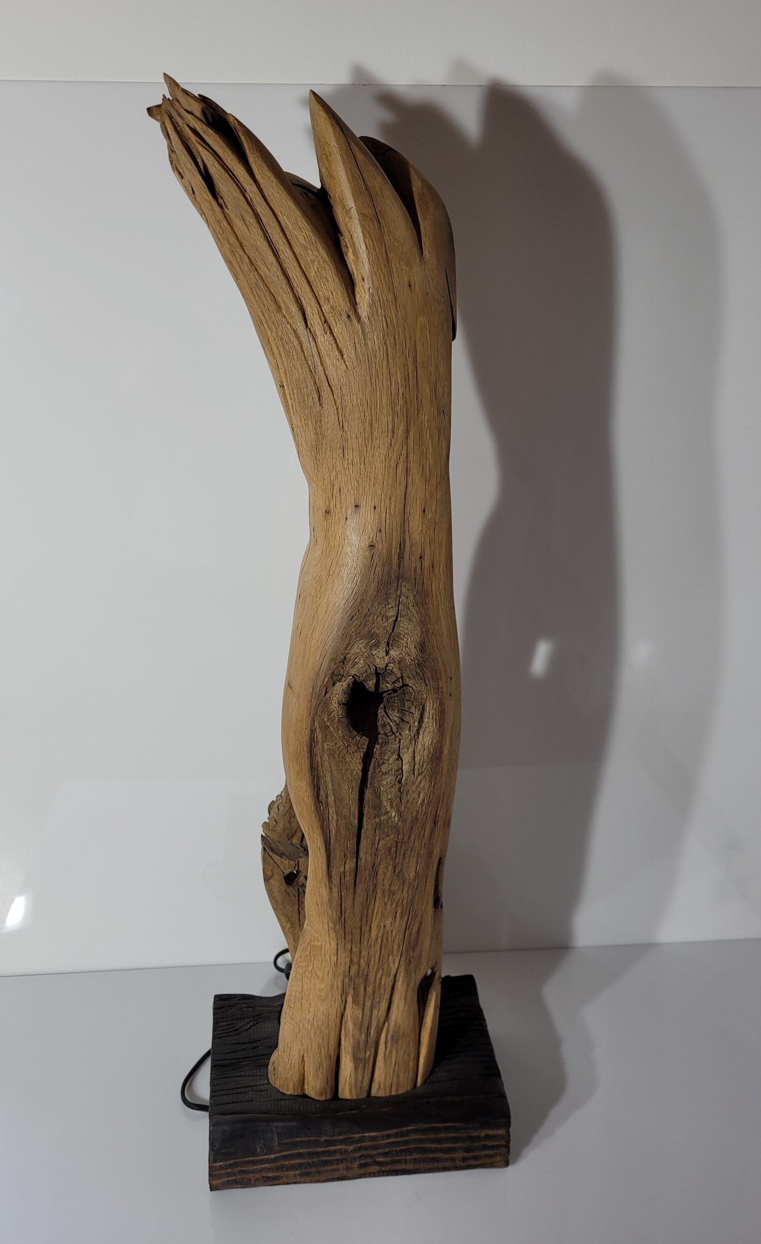 Sculpture Tronc brulé