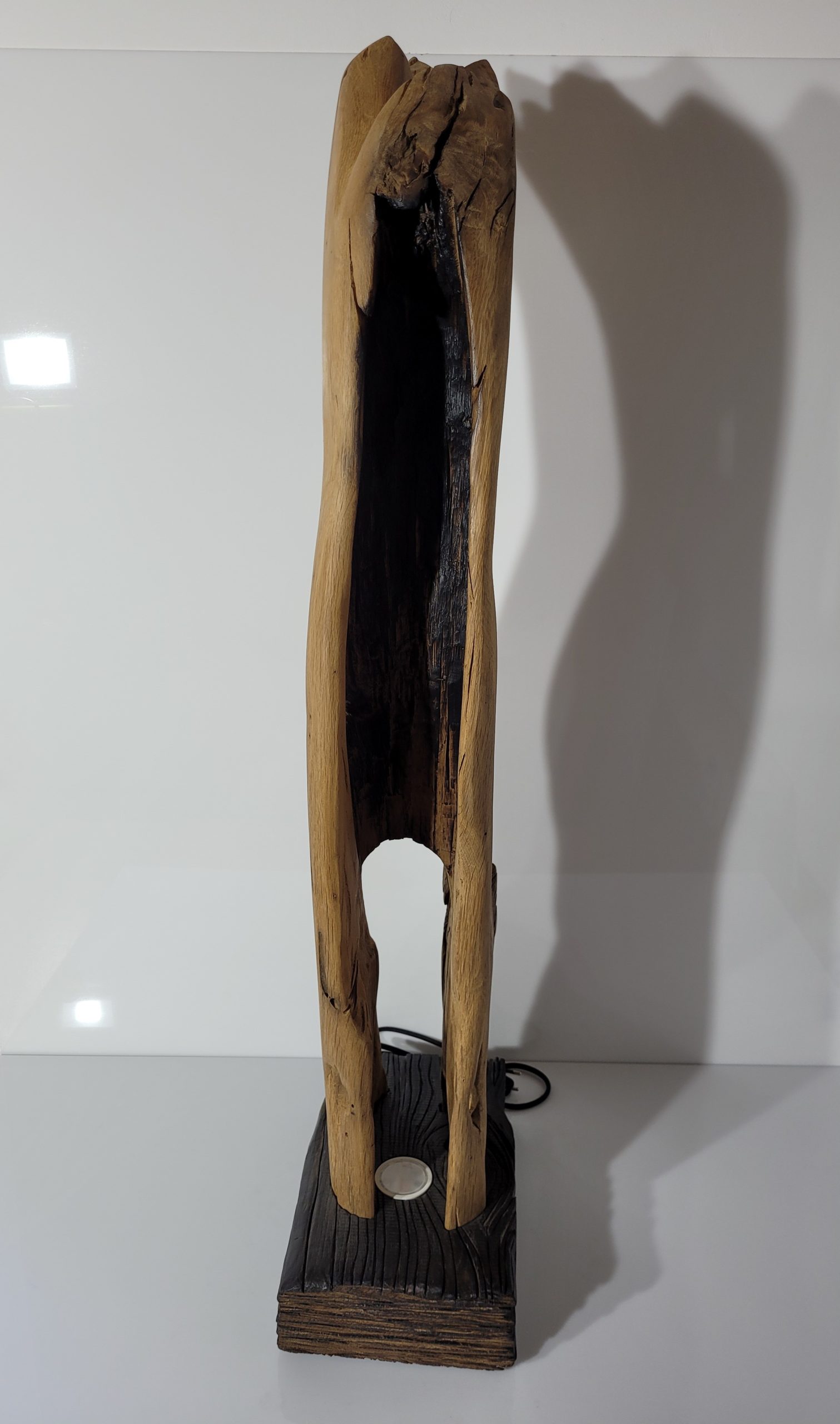 Sculpture Tronc brulé