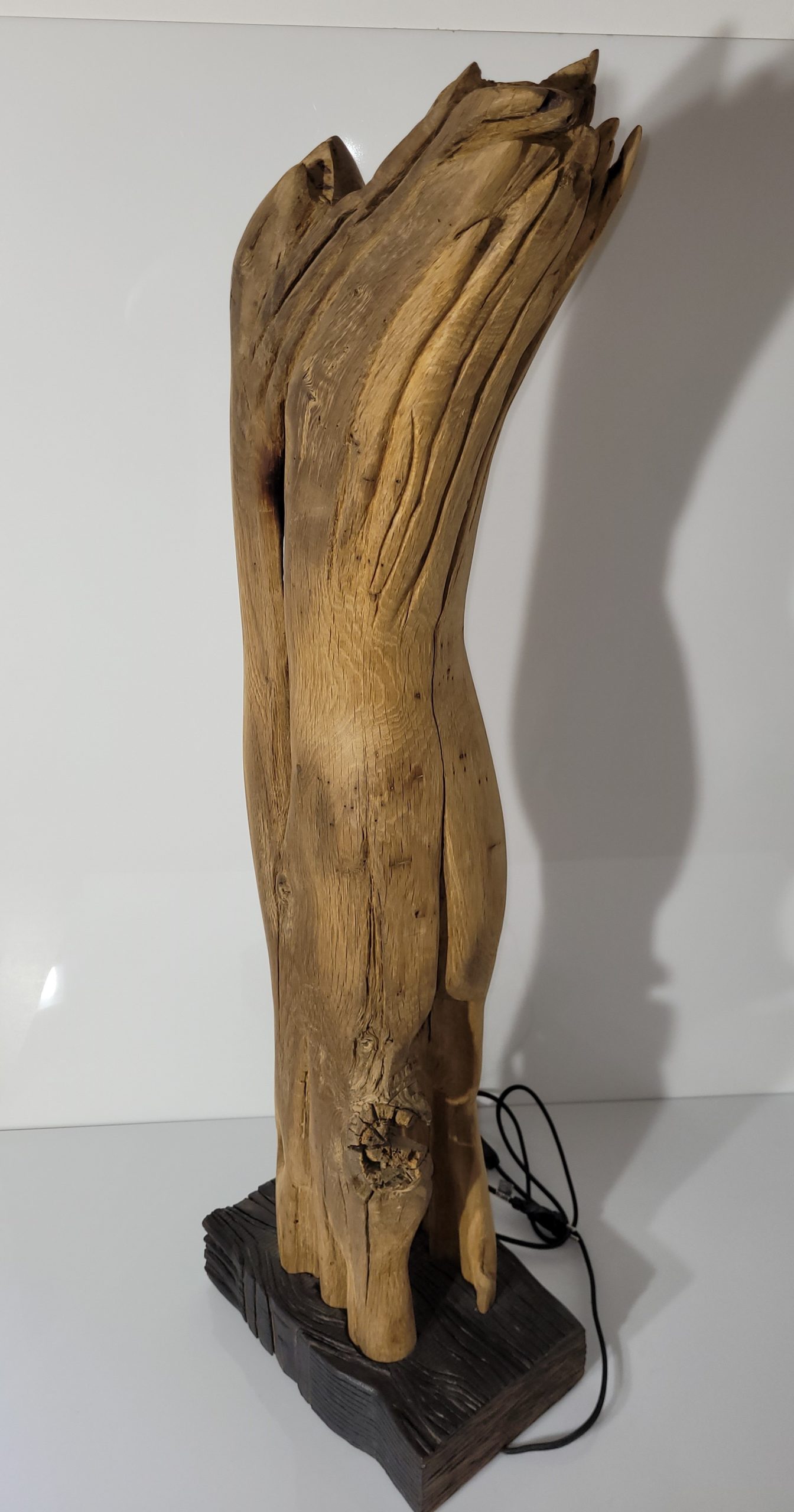 Sculpture Tronc brulé